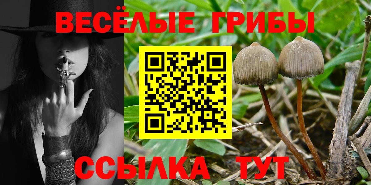Галлюциногенные грибы GOLDEN TEACHER  Вход с VPN  Костомукша 